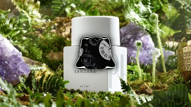 Mr. Kitty, The Neighbourhood - After Dark x Sweater Weather смотреть онлайн