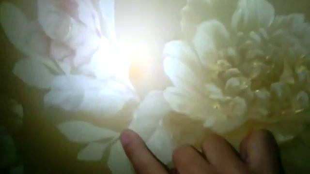 Корелла-почти все что нужно знать(часть1) смотреть онлайн