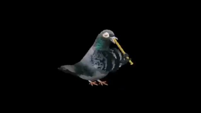 Обзорная экскурсия по гимназии