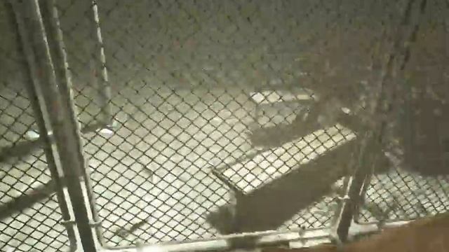 OUTLAST Whistleblower ПРОХОЖДЕНИЕ #4 ПУГАЕМСЯ