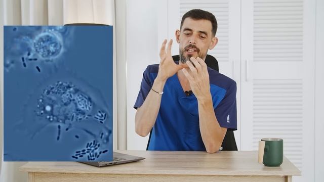 7 секретов кишечника о которых вы точно НЕ ЗНАЛИ смотреть онлайн