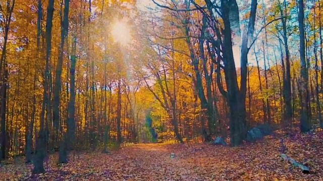 The Antlers - "Volunteered" смотреть онлайн