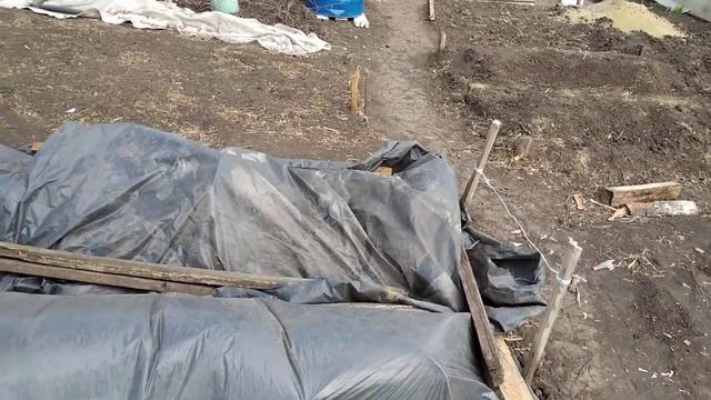 Ранняя посадка картофеля . смотреть онлайн