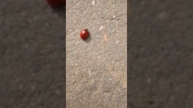 (влог) я после #школы# смотреть онлайн