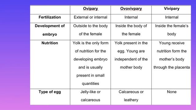 Reproduction In Vertebrate (Grade 12)|| Exam Prep Series: Episode 2