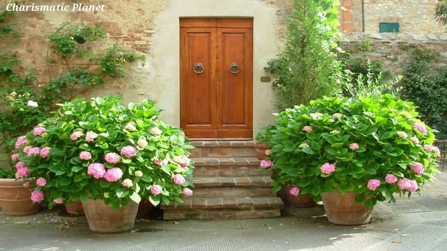 Door Knocking Sound Effects - Knock Sound Effect - Door Knocking Audio - Knocking Sound Effects