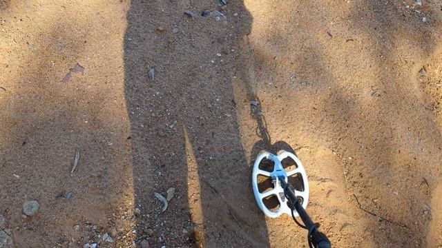 Detech Chaser With My SEF 8x6