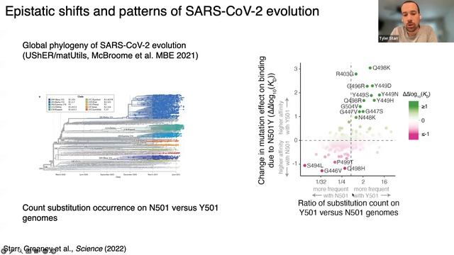 Dr Tyler Starr - Molecular evolution of SARS-CoV-2 and related bat coronaviruses смотреть онлайн