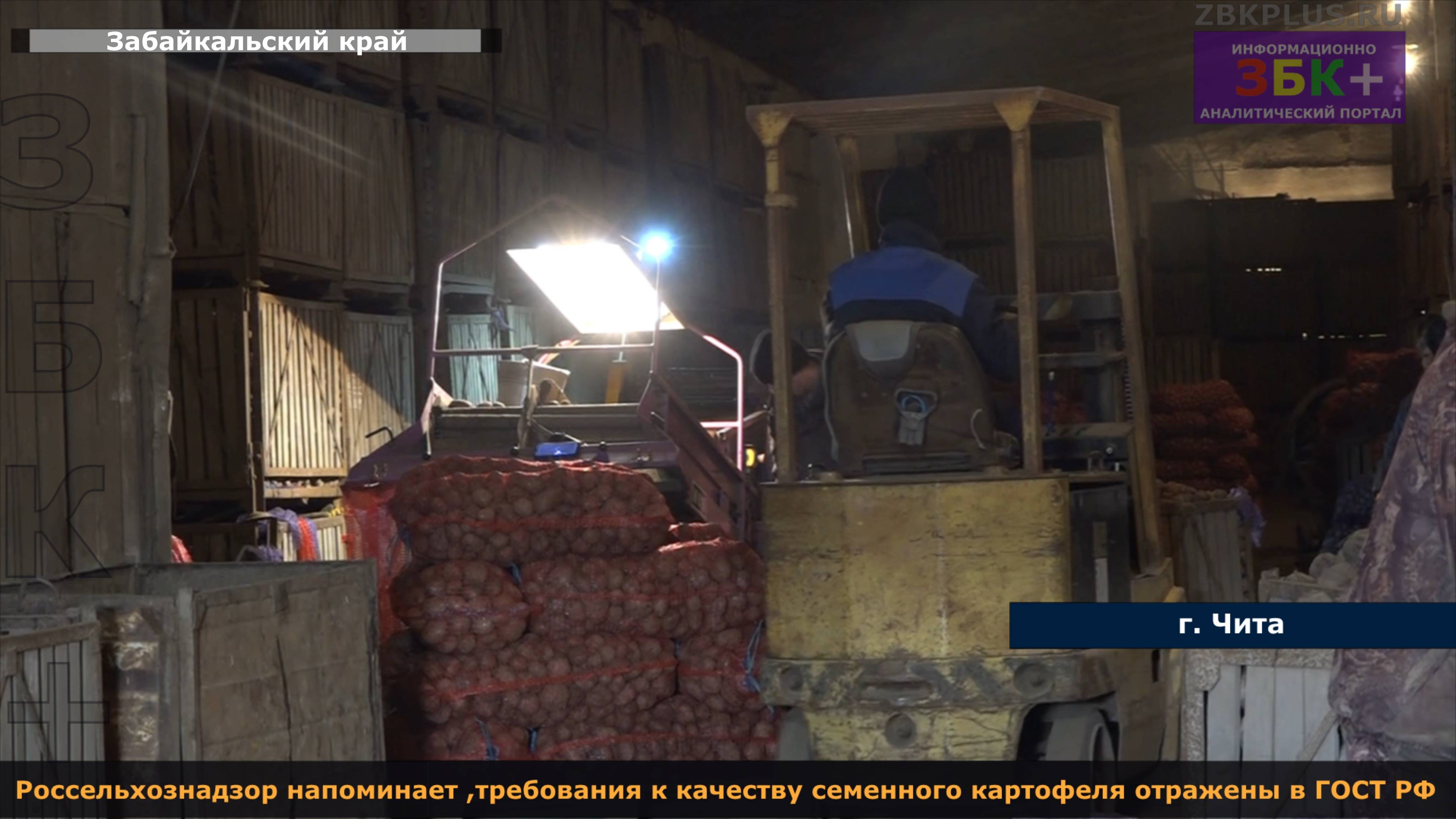 ЗБК + Россельхознадзор напоминает о требованиях ГОСТа РФ к семенному посадочному материалу смотреть онлайн