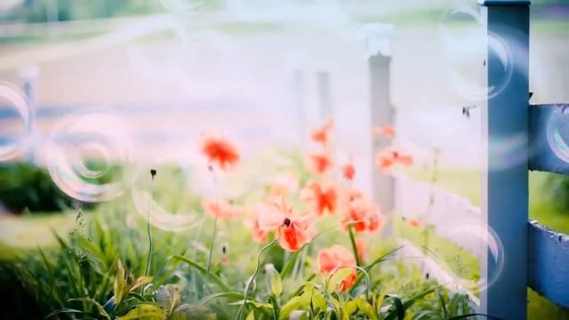 Красивый нашид Muhammad Al Muqit