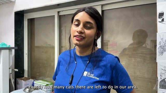 India has millions of street animals. Here's how cat lovers in Mumbai are helping! смотреть онлайн