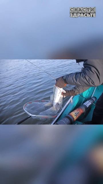 Как дела в Астраханских водах? Проверяем в новом выпуске #снастиздрасьте смотреть онлайн