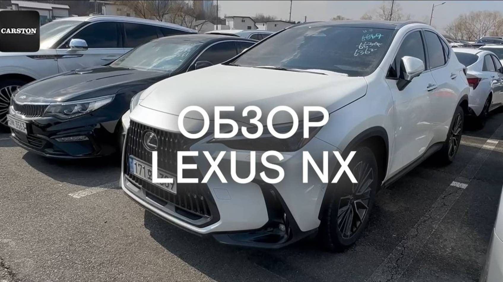 CARSTON обзор на LEXUS NX