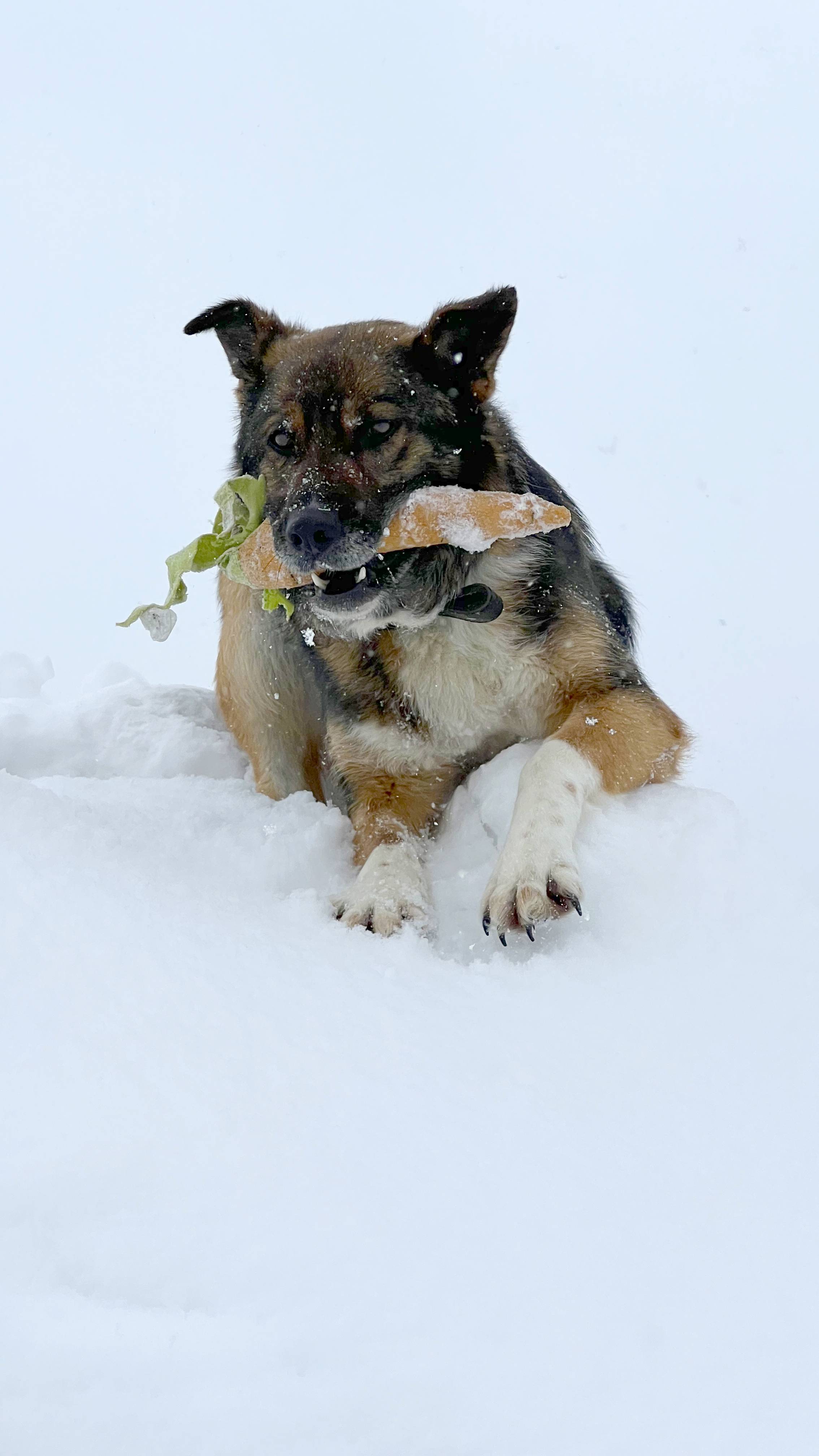 Чувствует какую-то пустоту на сердце... смотреть онлайн