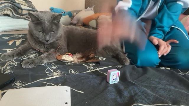 МОЛ ЭТО ЛАВА но ТОЛЬКО НА КРОВАТИ