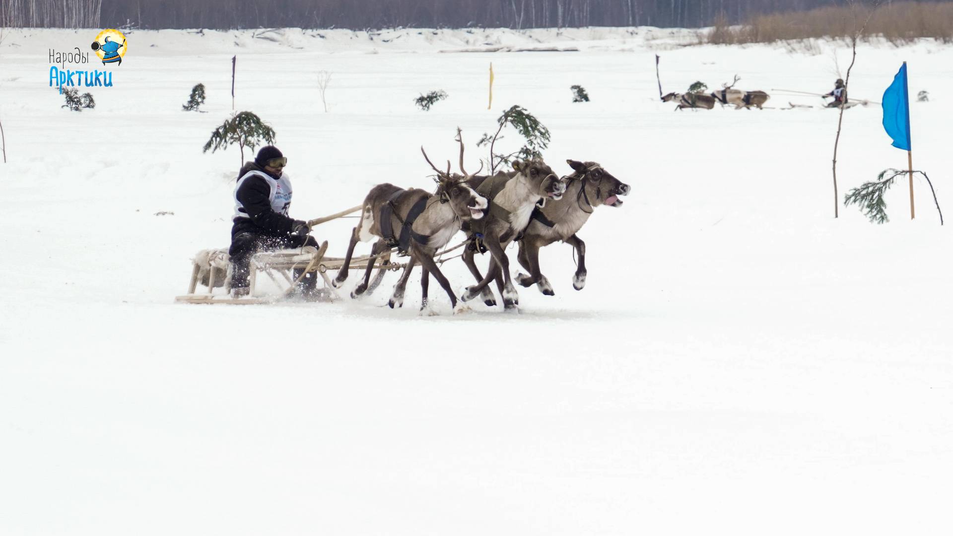День оленевода и охотника в селе Толька