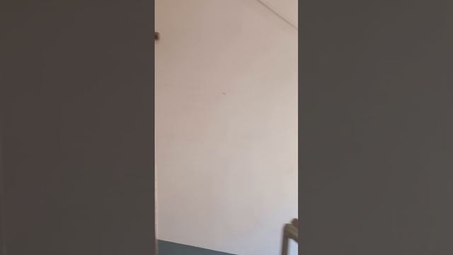 WhatsApp Video 2025-03-21 at 12.59.50 смотреть онлайн