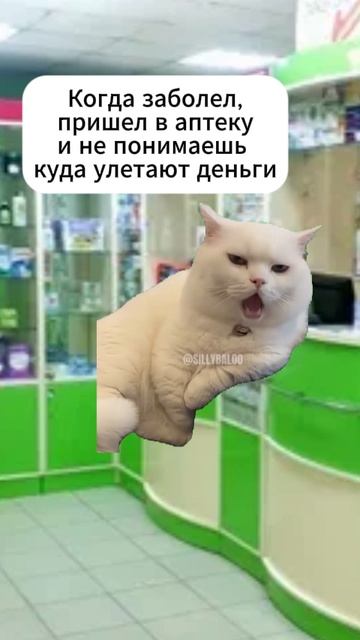 Когда сходил в аптеку