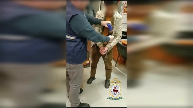Полицейские задержали мигранта-наркосбытчика в Нижнем Новгороде смотреть онлайн