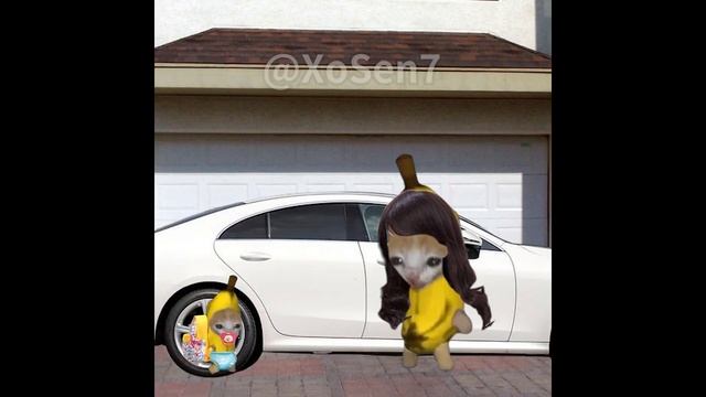 BANANA CAT 🍌🐱 BABY BAD LUCK 😿 VIDEOS 41 ( 2 MINUTES ) смотреть онлайн