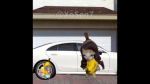 BANANA CAT 🍌🐱 BABY BAD LUCK 😿 VIDEOS 41 ( 2 MINUTES )