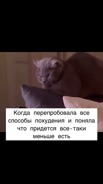 Когда поняла что ничего не поможет похудеть кроме голодания смотреть онлайн