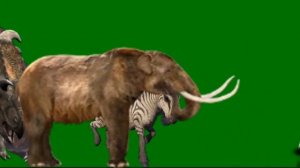Prehistoric Animal Stampede Green Screen for @Sticknodespro6522