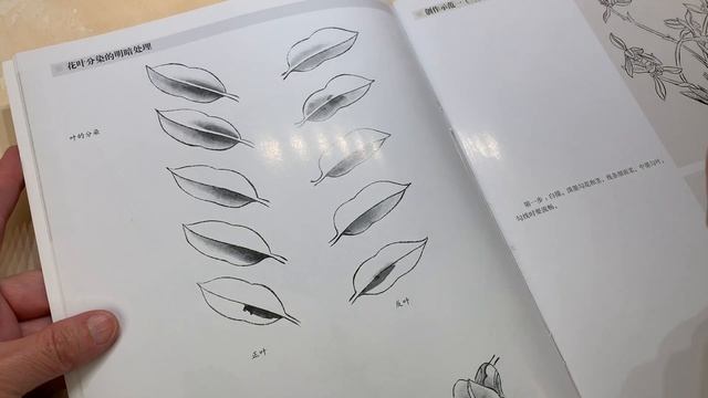 Tea blababla how to Chinese painting books with Googoo asmr смотреть онлайн