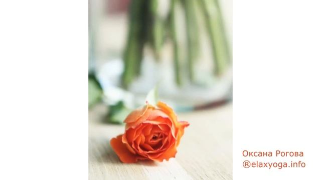 Управляемая медитация. Подыши! смотреть онлайн