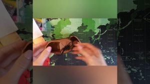 Карлсон своими руками.mp4