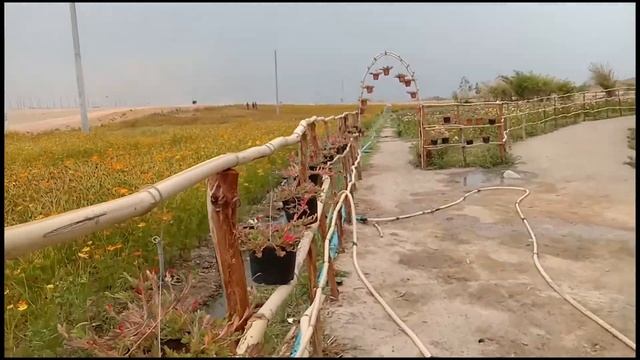 Adventure at beautiful flower place смотреть онлайн