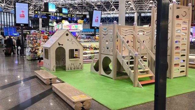 Аэропорт Сочи. Имени В. И. Севастьянова. Дважды героя Советского Союза. Лётчика - космонавта. смотреть онлайн