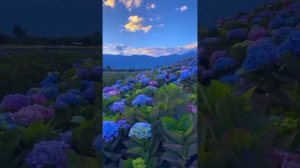 Давайте негромко, давайте в пол голоса!