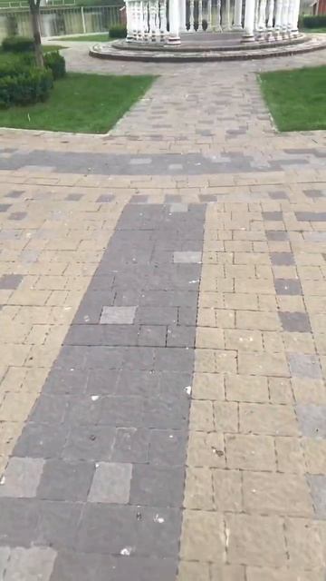 Свинка Бузя Упала с канала! #shorts