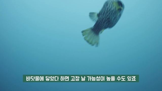 미 육군 납품 규정이 어쩌다 제품의 내구성을 나타내는 척도가 된걸까? 밀스펙에 대하여 (feat. 어메이즈 핏 티렉스2) смотреть онлайн