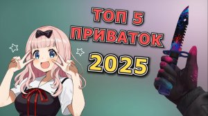 ТОП 5 ЛУЧШИХ ПРИВАТОК ПО СТАНДОФФ 2 В 2025 ГОДУ