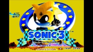 Sonic the Hedgehog 3 Music - Angel Island Zone Act 1 - Reversed