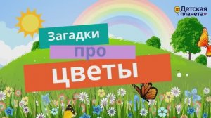 ЗАГАДКИ про ЦВЕТЫ #Детскаяпланета #ТатьянаБокова