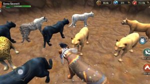 покупаем вип в  wolf tales! 🥳
