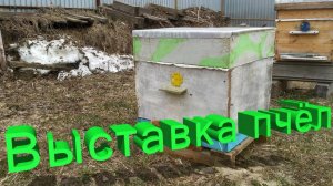 Елфимов Генрих Дмитриевич: О весенней выставке пчёл