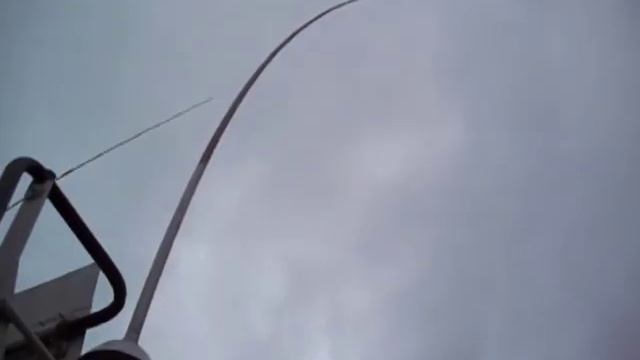 Мерлуза орегонская смотреть онлайн