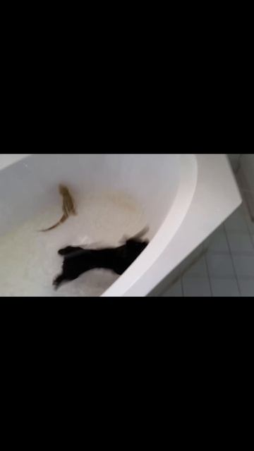 scene_output.mp4 смотреть онлайн