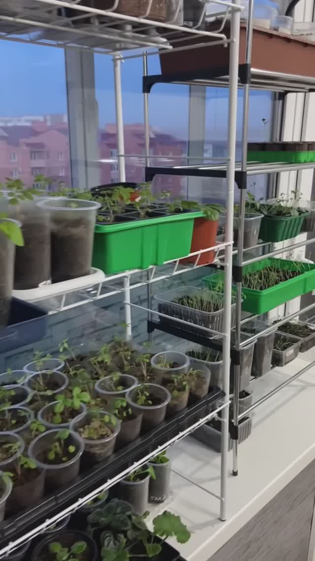 Стеллаж для рассады. смотреть онлайн