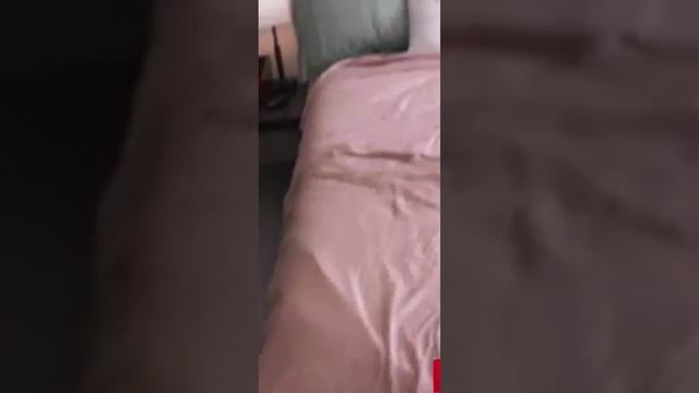 Public Agent: The Best Videos #generalpsychology #psychologyfacts #trucking #behavioralpsychology