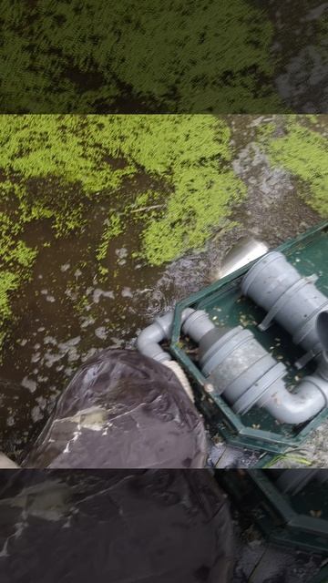 Полноприводный мотоцикл в болоте №184в смотреть онлайн