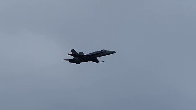 Hornet soolo, HN-441 смотреть онлайн