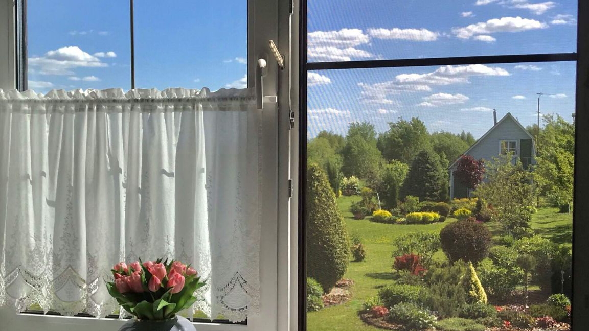 семеник Румыния