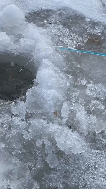 ПОСЛЕДНИЙ лёд 2025! #отдых #философия #мысли #жизнь #рыбалка #хобби #удочка #fishing #природа #охота смотреть онлайн