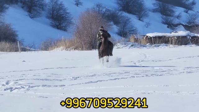 легендарный балбандар чапкан ПОЛКОВНИК👍22 января 2023 г. смотреть онлайн