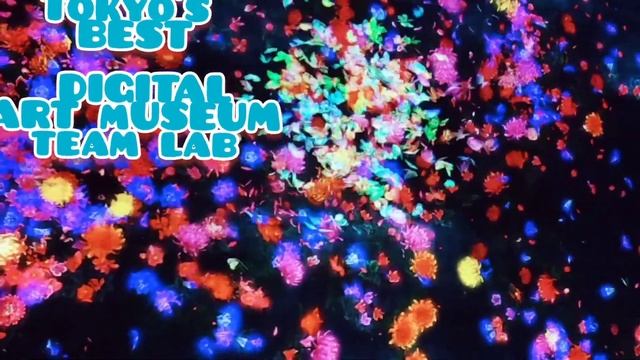 MAGICAL DIGITAL ART MUSEUM Team Lab ,Tokyo